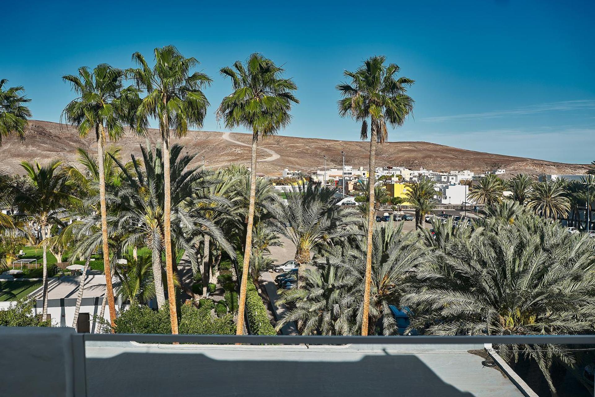 דירות טרחלחו Cactus Del Mar מראה חיצוני תמונה